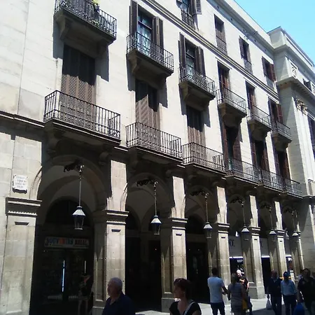 Apartment Colom
