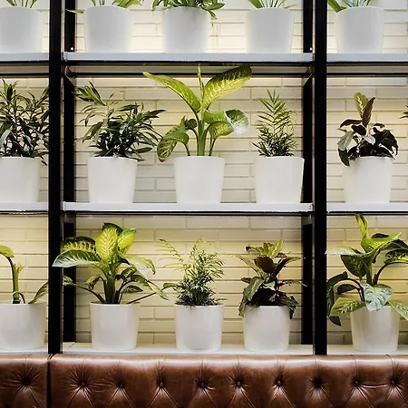 Praktik Bakery Hotell Barcelona