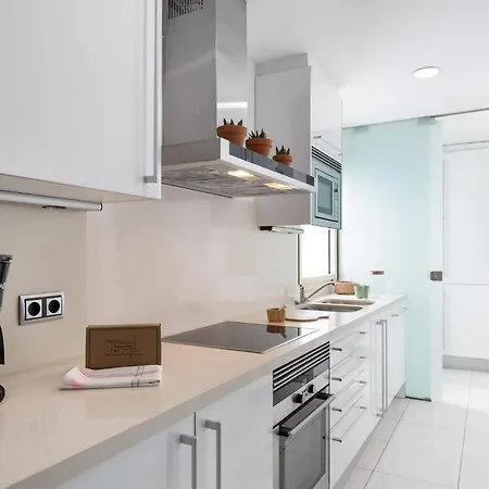 Ola Living Plaza Catalunya Apartment *