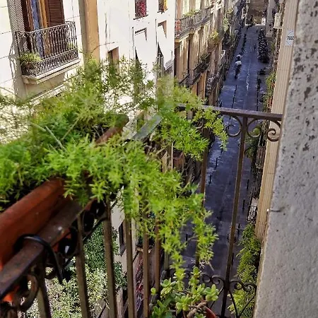 U-nique Monec Apartman