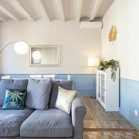 Luxurious-historical With Terrace Barcelona