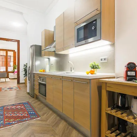 Appartement Great Spacious In The Gothic Quarter Barcelone