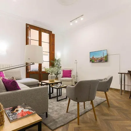 Appartement Great Spacious In The Gothic Quarter