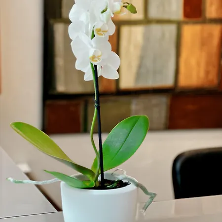 Hotel Sm Sant Antoni Barcelona