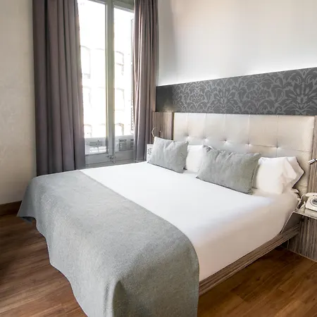 Petit Palace Museum Hotel