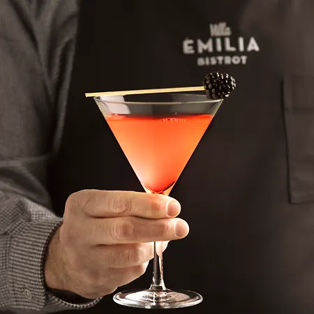 Hotell Emilia 4*