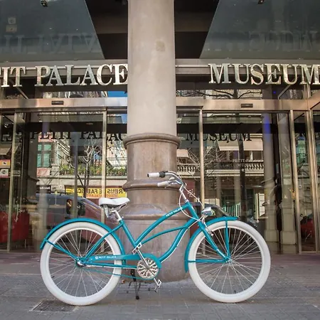 Petit Palace Museum 4*