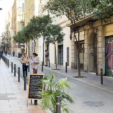 Aparteasy - Gracia *
