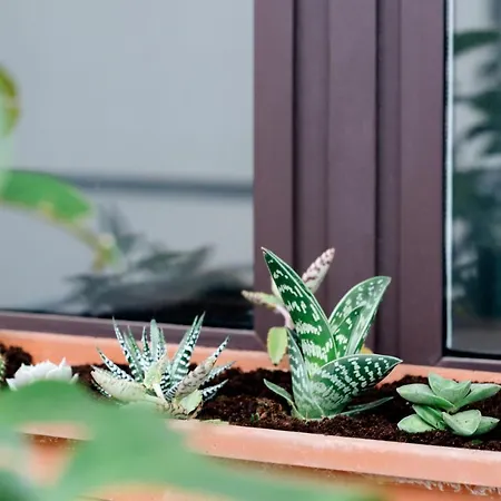 Appartement Alma Azul Consell De Cent Barcelona