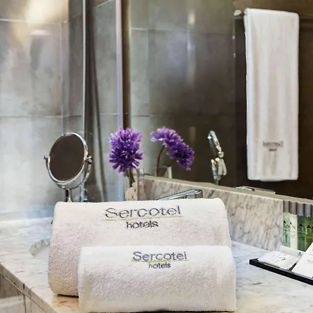 Отель Sercotel Amister Art