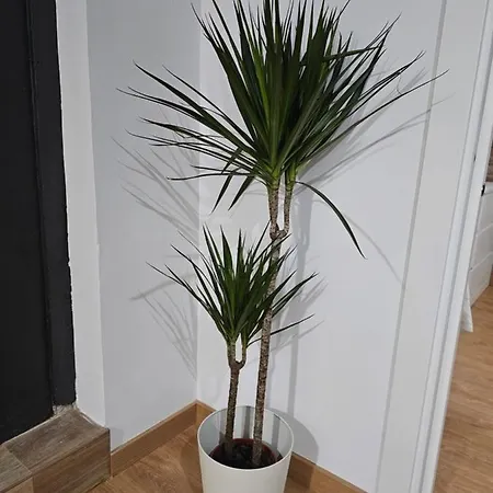Apartment Permar Plz *