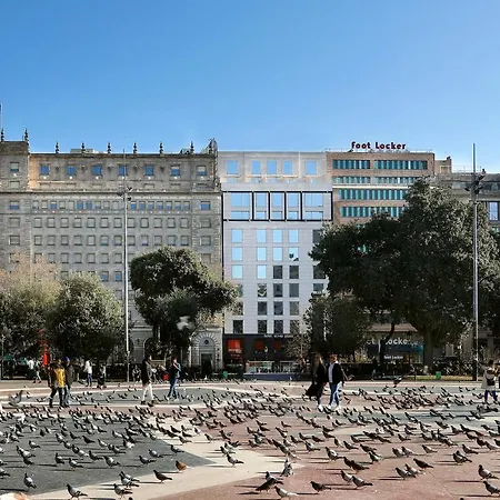 Olivia Plaza Hotel