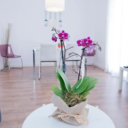 Appartement Gaudi-sant Pau *