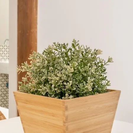 Apartamento Cozy With Balcony Sqm *