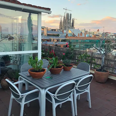 The Terrace In Apartment *