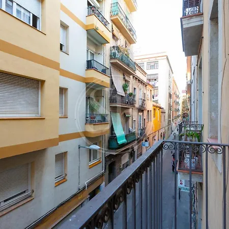 Estudio En Gracia * Barcelona