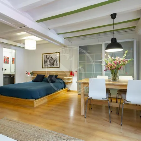 Apartment With Terrace In Gracia Barcelona