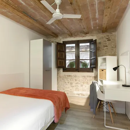 Classic Palau Appartement