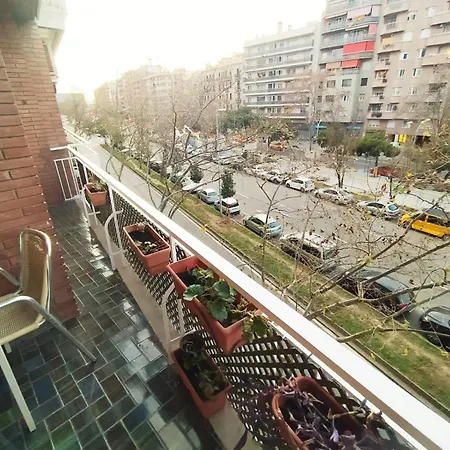 Apartment Spacious In The Heart Of The