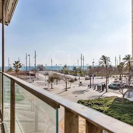 Apartment Beachfront With Terrace