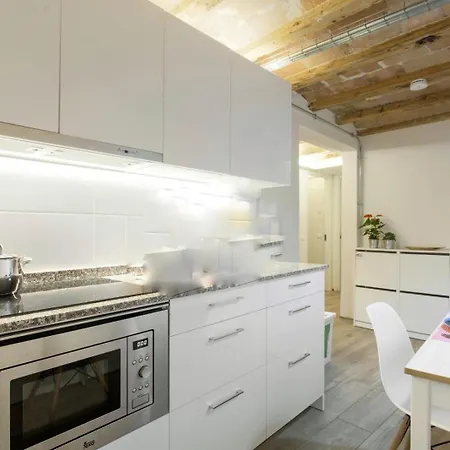 Classic Palau Appartement Barcelona