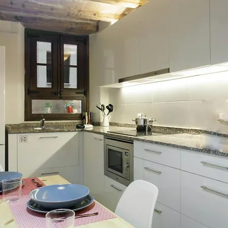 Classic Palau Appartement *