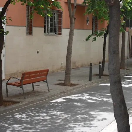 Alguera Sant Andreu * Barcellona