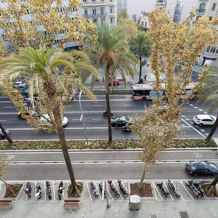 Pensión Diagonal *