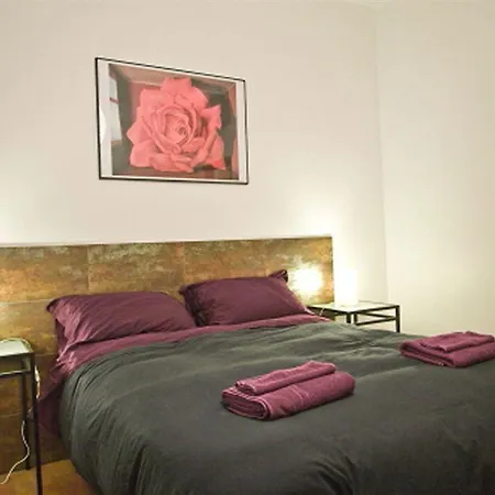 Vidre - Plaza Real