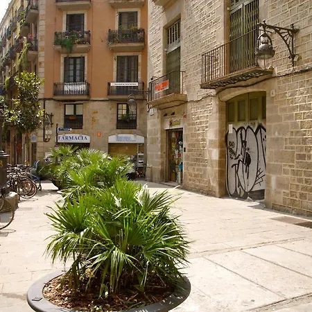 Nitzs Bcn Barcelona