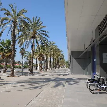 Occidental Atenea Mar - Adults Only Hotel 4*