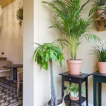 Casa Maca (adults Only)