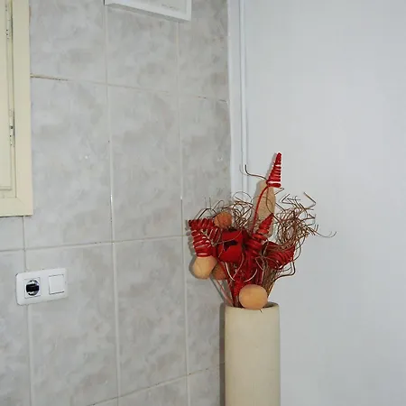Rambla De Mar Apartment *