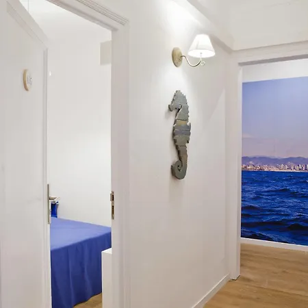 블루 B&B