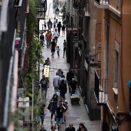Vidre - Plaza Real Barcelona