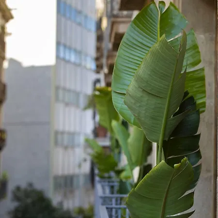 Sol Y K Barcelona