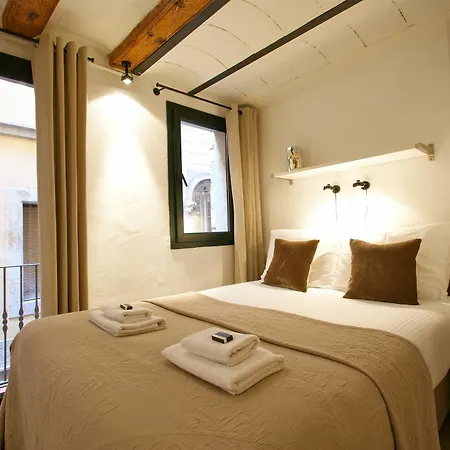 Hotel Borne Down Town 3*