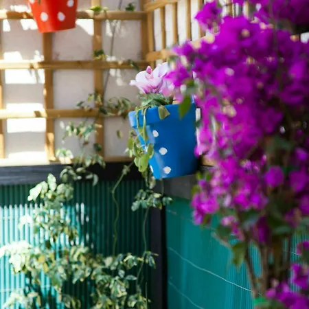 Apartamento Rosellón *