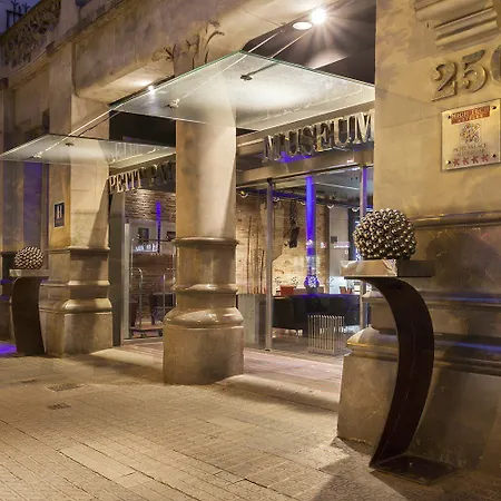 Petit Palace Museum 4*