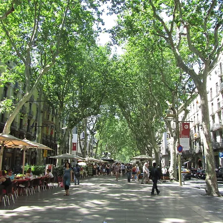Bcn Town Born דירה *
