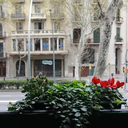 Buho Boutique (adults Only) 2*