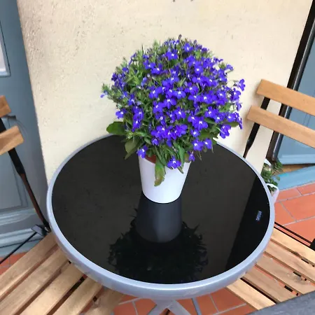 Mdgaudisquare Lägenhet *