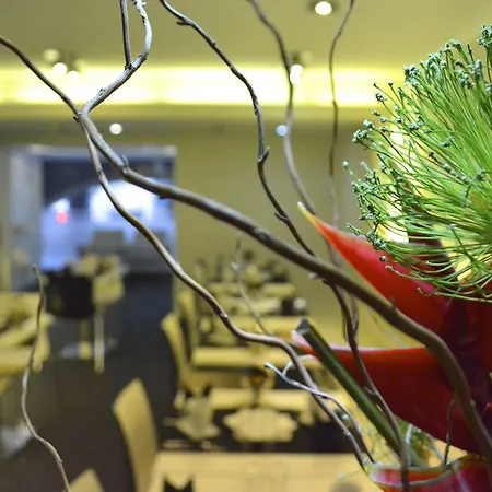 Atenea Rekord Otel
