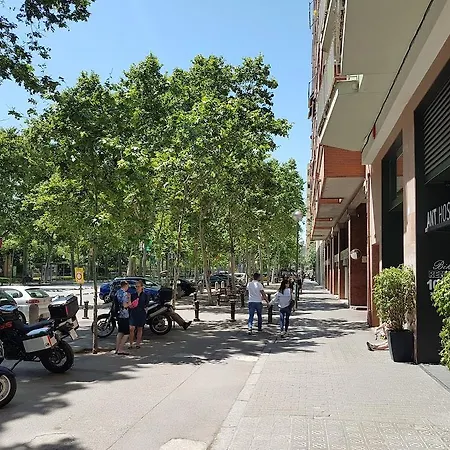 Ant Auberge de jeunesse