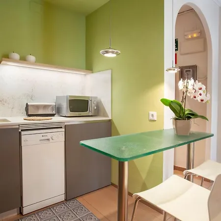 Bcngotic 41 Apartment *