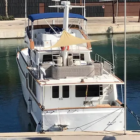 Toro Botel Barcelona