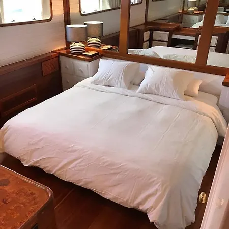 Toro Botel *