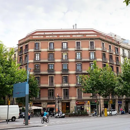El Puchi Pensión