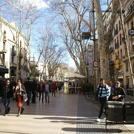 بيت ضيافة شباب ميمي لاس رامبلاس برشلونة