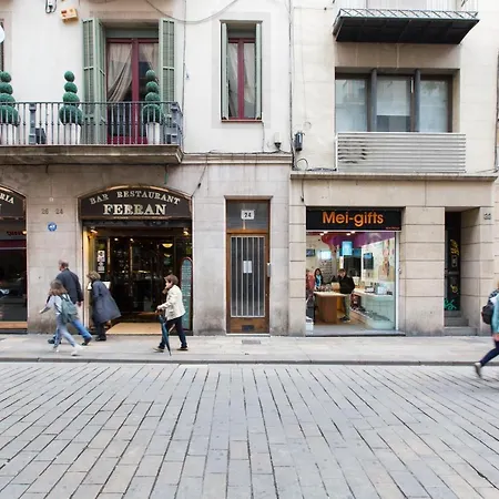 Daire Barrio Gotico Ferran *